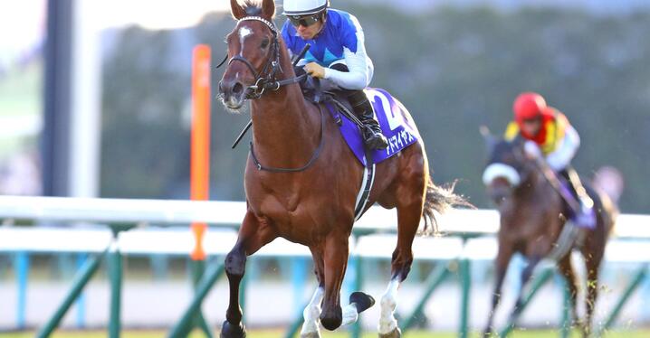 競馬AIがオールカマー、神戸新聞杯を大予想 厳選ワイド3点＆3連複10点で勝負！ - スポーツナビ