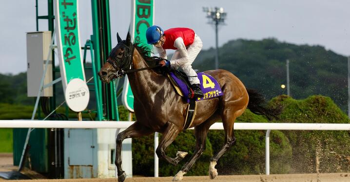 データ回顧 キングカメハメハの蹄績 日本競馬史上でも屈指の万能