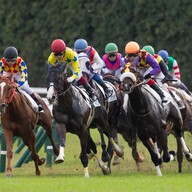 競馬AIが東京新聞杯、きさらぎ賞を大予想 7週連続的中へ厳選ワイド3点＆3連複10点で勝負！ - スポーツナビ