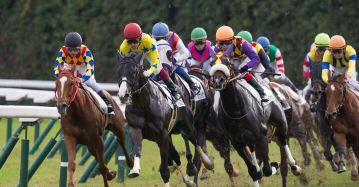 競馬AIがオールカマー、神戸新聞杯を大予想 厳選ワイド3点＆3連複10点で勝負！ - スポーツナビ