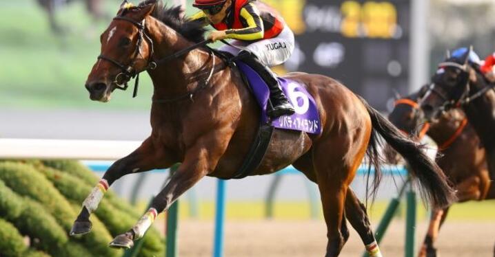 競馬AIがオールカマー、神戸新聞杯を大予想 厳選ワイド3点＆3連複10点で勝負！ - スポーツナビ