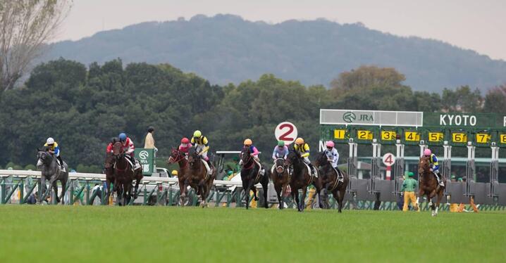 競馬AIがアイビスSD、クイーンSを大予想 厳選ワイド3点＆3連複10点で勝負！ - スポーツナビ