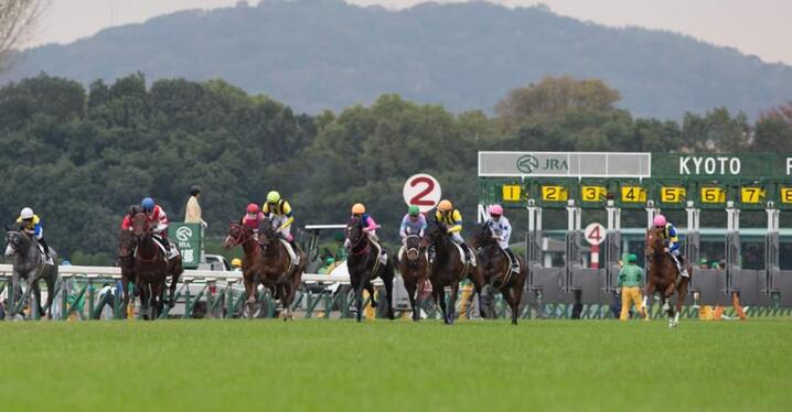 競馬AIが東京新聞杯、きさらぎ賞を大予想 7週連続的中へ厳選ワイド3点＆3連複10点で勝負！ - スポーツナビ