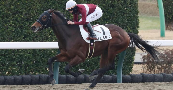 JRA マイルチャンピオンシップ　ナミュール　藤岡康太騎手 JRA マイルチャンピオンシップ ナミュール 藤岡康太騎手 マイル