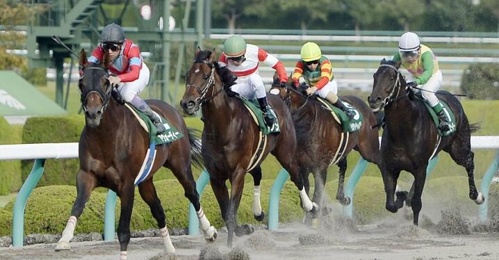 凱旋門賞回顧】4歳牝馬ブルーストッキングが歴史的名牝級V、シン