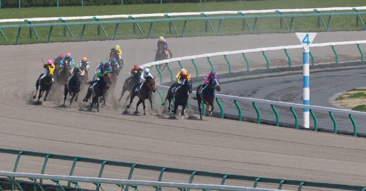 馬のメモ帳　　アーモンドアイ&ワグネリアン 優駿11月号 No.959 | 優駿 WEB