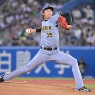 阪神タイガース　ボブルヘッド　藤川球児監督　才木浩人選手（２体セット） 阪神タイガース ボブルヘッド 藤川球児監督 才木浩人選手（2体