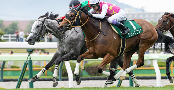 日刊スポーツ競馬ページ　2023年1〜8月　46枚 日刊スポーツ競馬 極ウマ