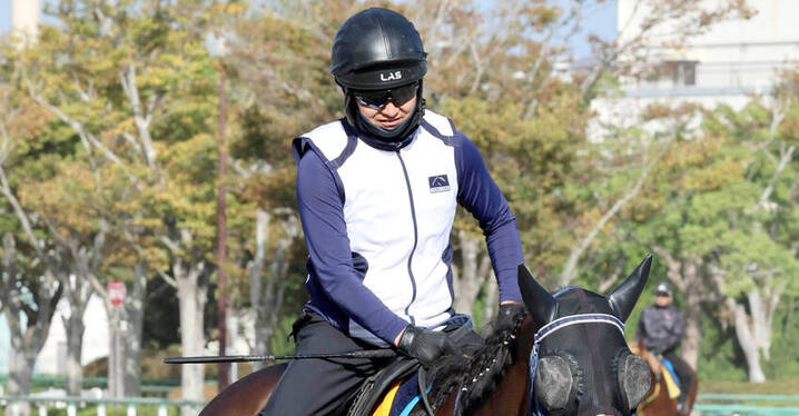 競馬 - スポーツナビ