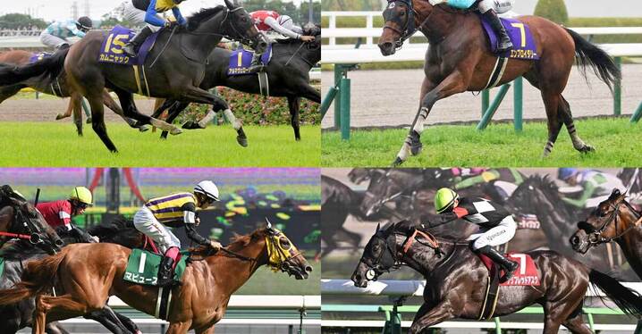 競馬 - スポーツナビ