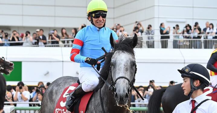 競馬　有力馬情報　後ろに競馬場のデータ付き 競馬 - スポーツナビ