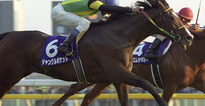 競馬 - スポーツナビ