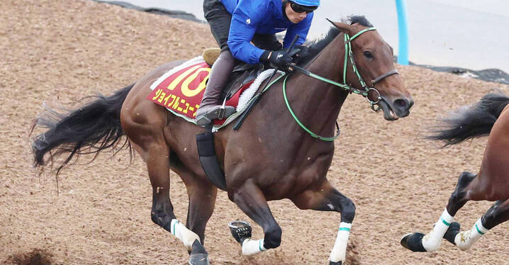 競馬の極み 牝馬小結にランフォーヴァウ ミュージアムマイル牡馬前頭3枚目