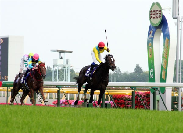 最内を豪快に突き抜け、香港のアルマダに3馬身半差をつけて大勝!