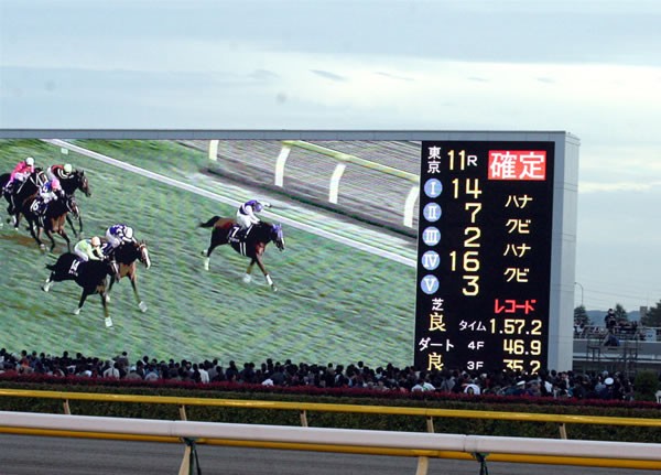 10分にも及ぶ写真判定の末、一番上に点ったのは「14」だった
