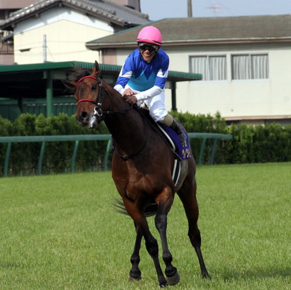 逃走ヴィクトリーＶ！ 田中勝１５年ぶりのＧＩ勝利=皐月賞＝無敗