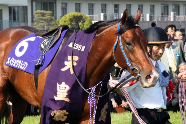 メイショウサムソン、ド根性Ｖで最強の座に 石橋守「馬の力を信じていた」＝天皇賞・春 - スポーツナビ