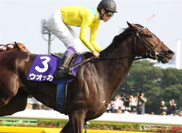 ウオッカ　天皇賞秋 天皇賞・秋 ヤマタケが見た牝馬の盾】ウオッカ伝説V生んだ