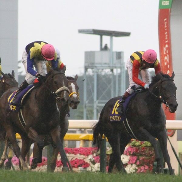 樫の女王は2頭いた gi史上初の同着v オークス スポーツナビ 樫の女王は2頭いた gi史上初の同着v オークス スポーツナビ