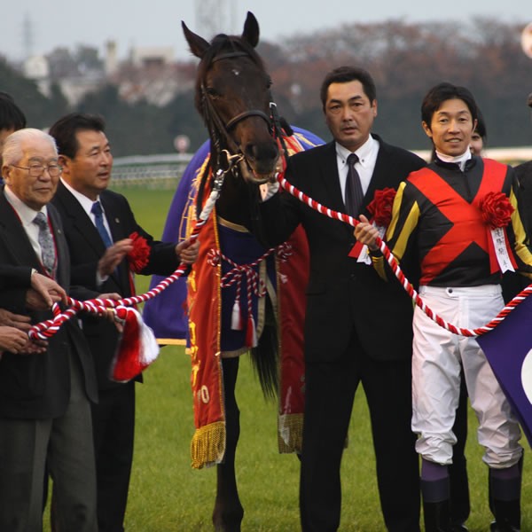 ブエナビスタまさか降着、ローズキングダム執念のＪＣ制覇！ - スポーツナビ