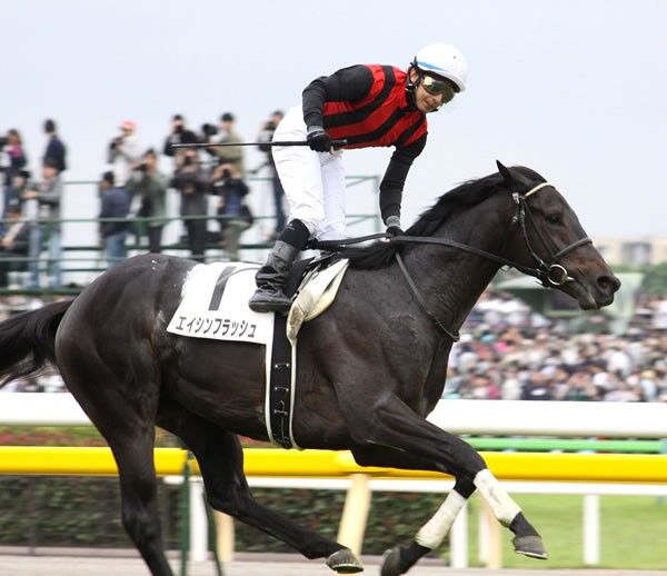 有馬記念展望 10年最後の主役 ブエナビスタは譲らない スポーツナビ 有馬記念展望 10年最後の主役 ブエナビスタは譲らない スポーツナビ