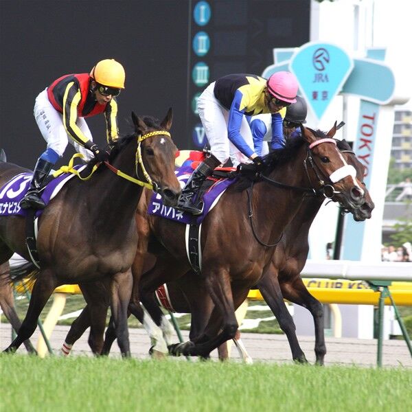女王対決はアパパネ劇勝 ブエナビスタを真っ向撃破 ヴィクトリアマイル スポーツナビ 女王対決はアパパネ劇勝 ブエナビスタを真っ向撃破 ヴィクトリアマイル スポーツナビ