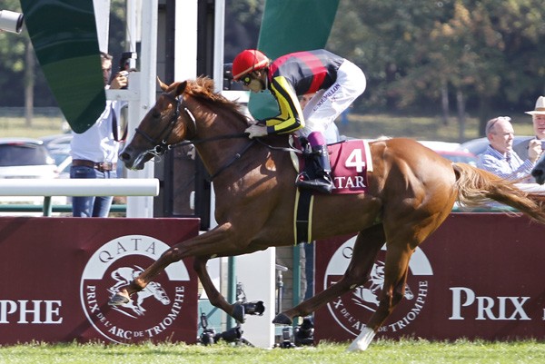 オルフェーヴル　たてがみ　競馬　競走馬 あの馬を訪ねて on X: 