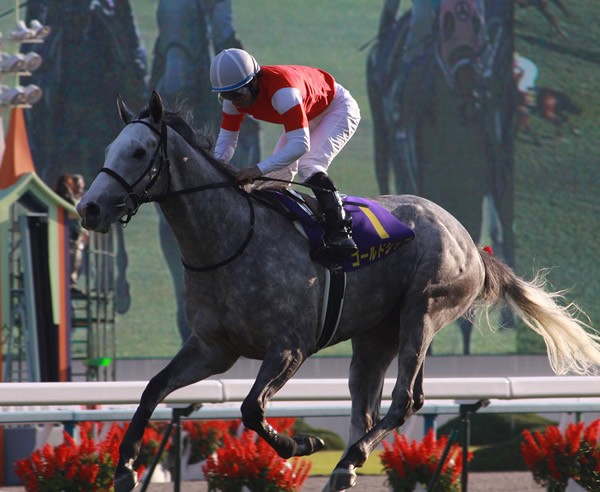 「皐月賞馬として強い競馬を見せたかった」と内田博、その言葉通りのレースを披露した