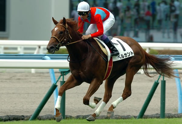 新馬戦は期待通りの5馬身差圧勝だった