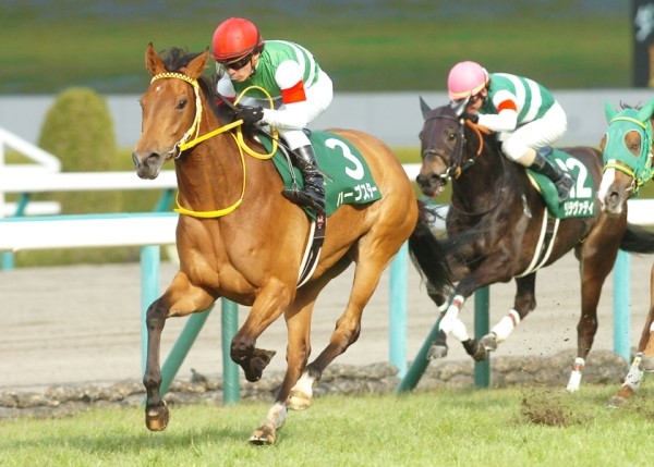 川田「想像できない」ハープスターの本気＝桜花賞直前スペシャルインタビュー - スポーツナビ