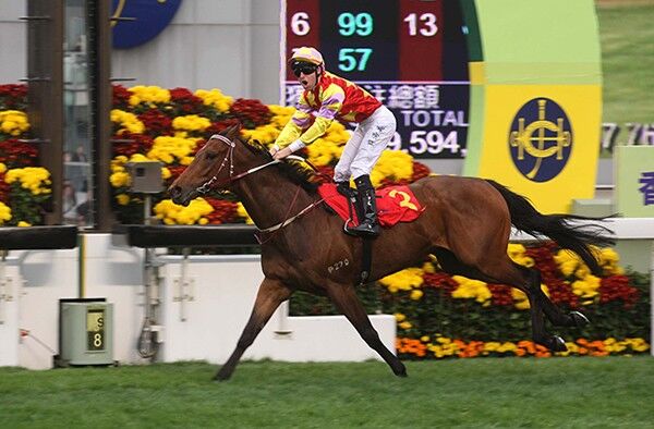 エピファの敵は近年最強の香港ダービー馬 香港クイーンエリザベス2世カップ展望 スポーツナビ エピファの敵は近年最強の香港ダービー馬 香港クイーンエリザベス2世カップ展望 スポーツナビ