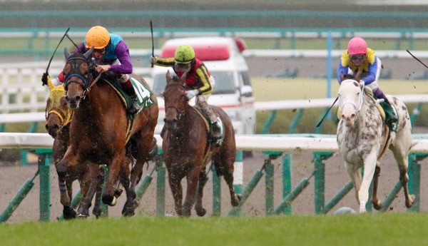 桜花賞を狙う有力候補はいずれも関東馬……今年のクラシック戦線は異状あり!?(写真はココロノアイ(左)が勝ったチューリップ賞)