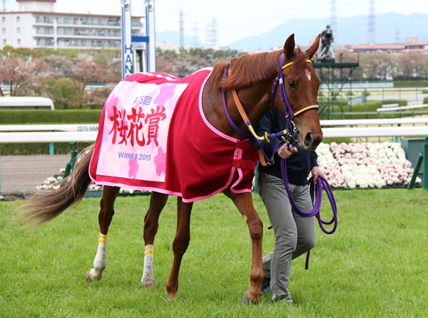 強さが際立った桜花賞馬レッツゴードンキ、そのレース内容は皐月賞とあまりに対照的だった