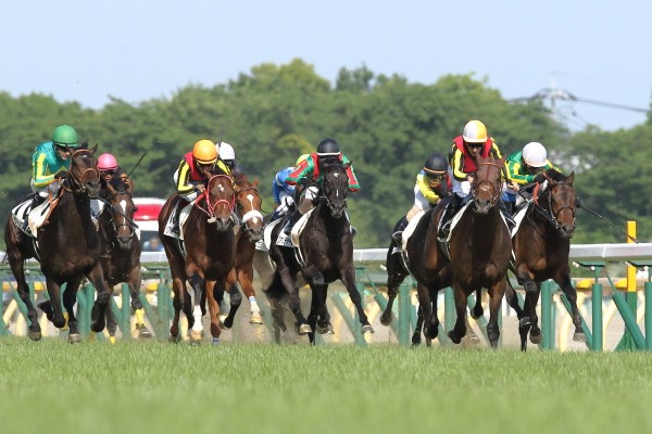 改良馬場がこれからの競馬を面白くする!?