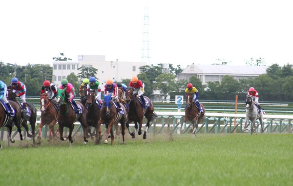横山典、裁決委員のコメント、状況などから判断すると悪い偶然が重なったとしか……