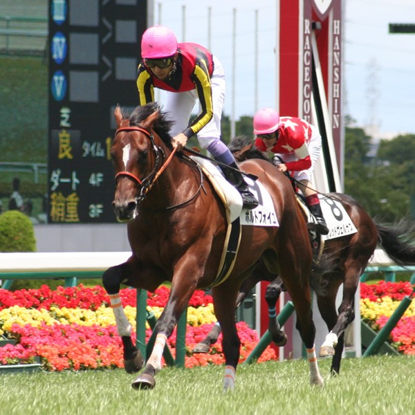 6月28日にデビューしたクラシック候補と名高いポルトフォイユ、さてあなたのイチオシ2歳馬は?
