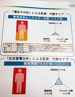 遺伝子分析で最適ダイエット方法が分かる フィジカル遺伝子サービス やってみた スポーツナビdo