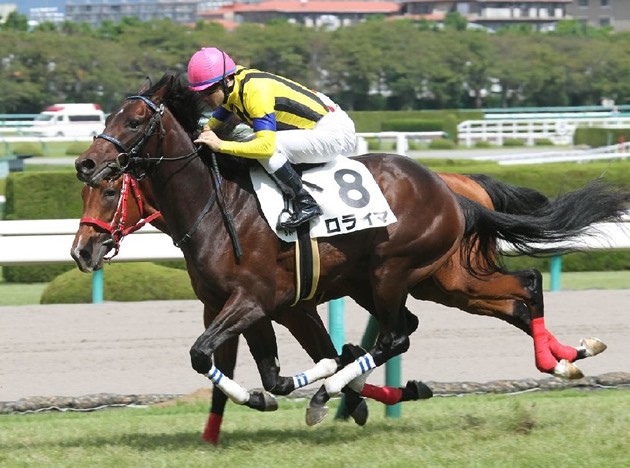 伯父は幻の三冠馬と言われたフジキセキ 素質馬ロライマが☆６つを獲得 - スポーツナビ