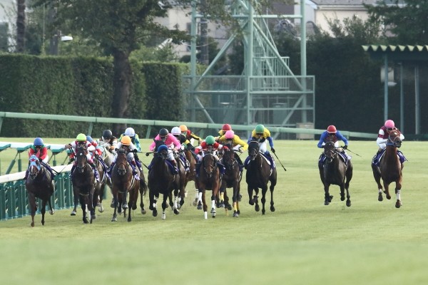 最後の直線は横一線! 最後まで勝ち馬が分からない大激戦だった