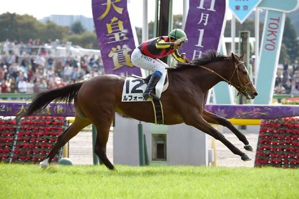 今年初の 8つ女子 素質馬ルフォール ドゥラメンテの堀厩舎 来年は牝馬二冠 スポーツナビ 今年初の 8つ女子 素質馬ルフォール ドゥラメンテの堀厩舎 来年は牝馬二冠 スポーツナビ