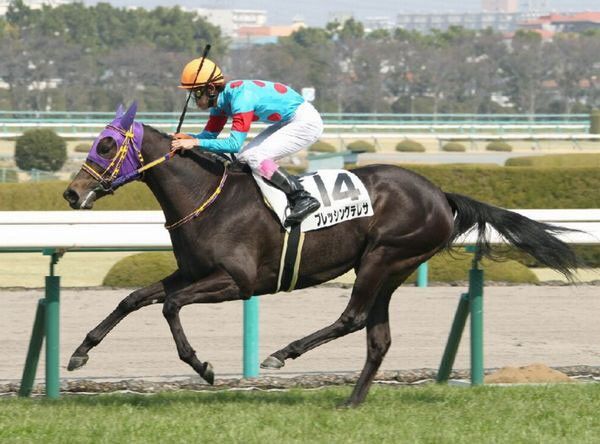ダービーの惑星候補出現でオッズも変動 ドリームジャーニー産駒のアルカサル スポーツナビ ダービーの惑星候補出現でオッズも変動 ドリームジャーニー産駒のアルカサル スポーツナビ