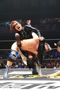 Ddt 曙 掟破りの男色殺法でディーノに完勝 Lilicoは卍固めでベルト死守 スポーツナビ Ddt 曙 掟破りの男色殺法でディーノに完勝 Lilicoは卍固めでベルト死守 スポーツナビ