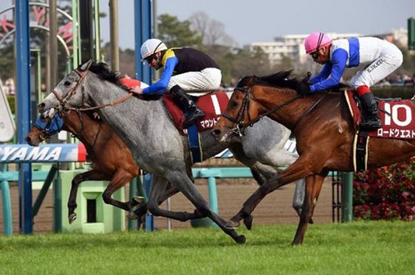 ディープ産駒2騎がダービー穴候補に浮上 ロードクエスト敗退で想定オッズも大変動 スポーツナビ ディープ産駒2騎がダービー穴候補に浮上 ロードクエスト敗退で想定オッズも大変動 スポーツナビ