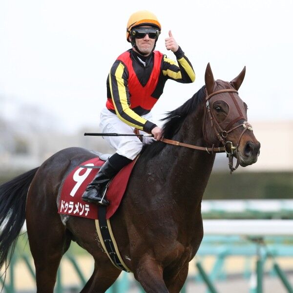 人と馬とで盛り上がる16年春競馬 ひとつ疑問に思う外国人騎手の制限案 スポーツナビ 人と馬とで盛り上がる16年春競馬 ひとつ疑問に思う外国人騎手の制限案 スポーツナビ