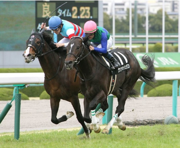 お値段約２億円の高馬ヴァンキッシュラン 降着の屈辱を胸に、いざ