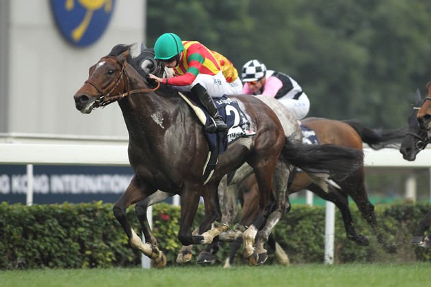 モーリス 香港カップ 安い グラス最強