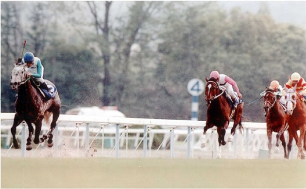 マックイーンvs.ライスシャワー再び!? 競馬記者に質問『ステイヤーと言えば？』 - スポーツナビ