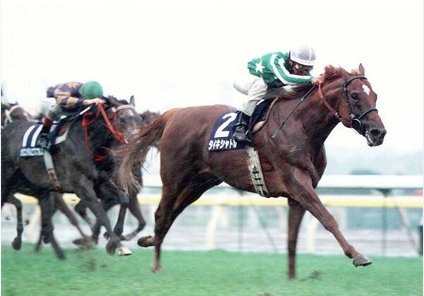 競馬記者が選んだ 史上最強マイラー gi5勝目に挑むモーリスもランクイン スポーツナビ 競馬記者が選んだ 史上最強マイラー gi5勝目に挑むモーリスもランクイン スポーツナビ