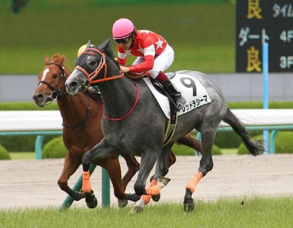 現在JavaScriptが無効です。2歳馬チェック、新シーズン開幕! 新馬一番星レッドラシーマの★評価は…競馬専門紙「優馬」の2歳馬チェック新馬一番星 血統背景豊かなレッドラシーマ著者プロフィール 競馬専門紙「優馬」 関連リンク新着記事コラムランキングおすすめ記事(Doスポーツ)新着公式情報 日本オリンピック委員会公式サイト