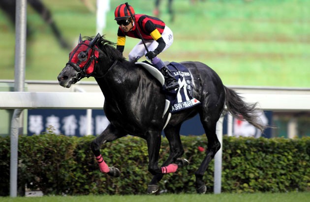 エイシンヒカリ 国内全11戦現地単勝馬券セット